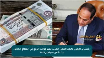 احتساب الأجر.. قانون العمل الجديد يغير قواعد الدفع في القطاع الخاص ابتداءً من سبتمبر 2025